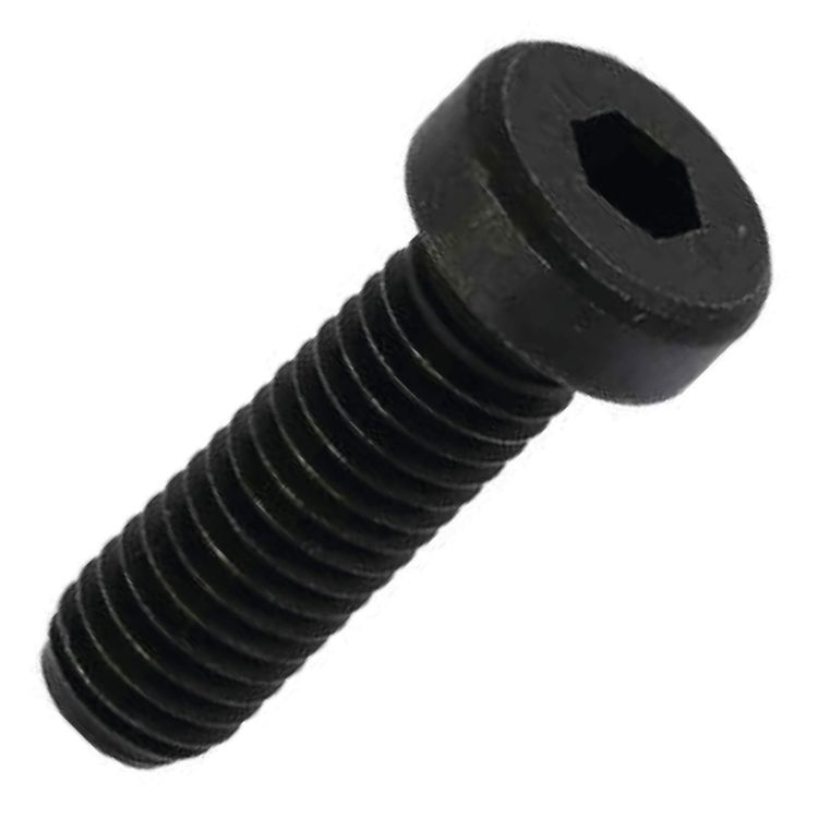 Picture of CAP SCREW LOW HD  08X025