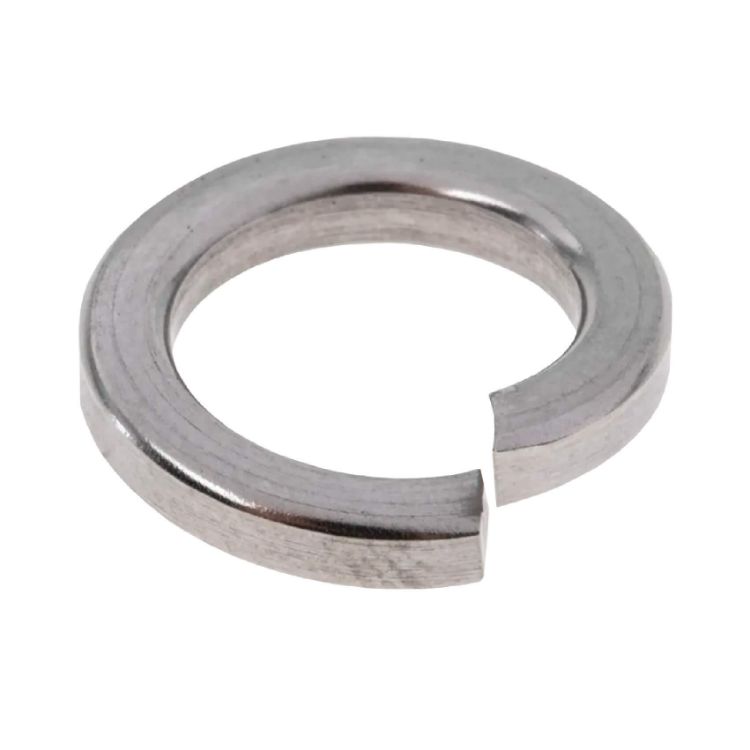Picture of WASHER SPRING S/S A2 16