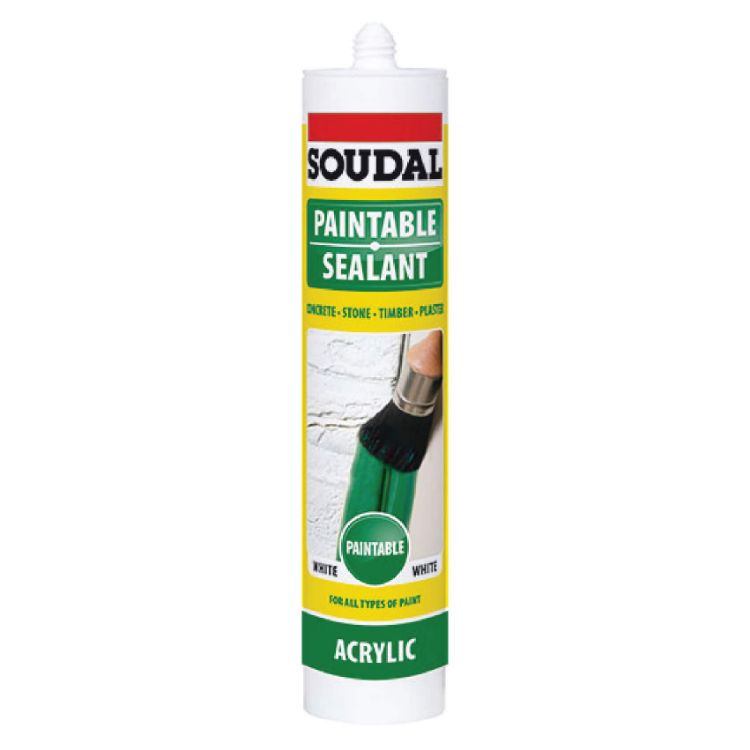 Picture of SILICONE PAINTABLE (SOU) WHT 270ml